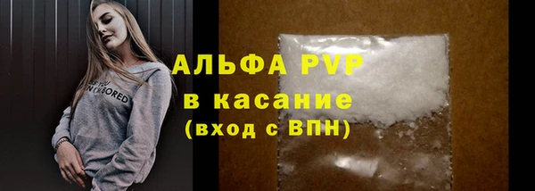 крисы Богородицк