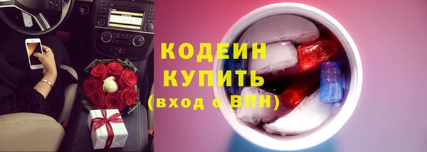 spice Богданович