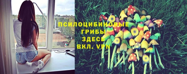 прущая мука Михайловск