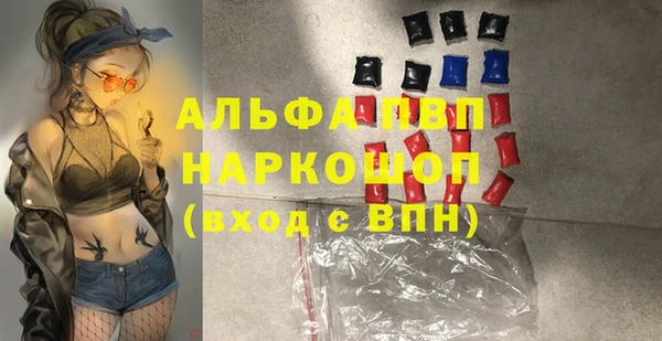 крисы Богородицк
