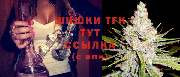 скорость Богородск