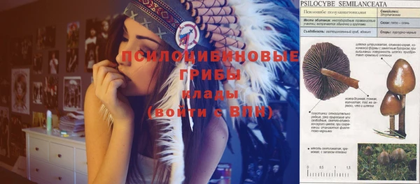 крисы Богородицк