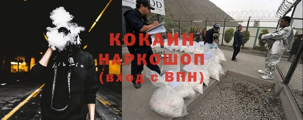 сатива Михайлов