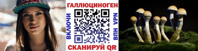 Псилоцибиновые грибы MAGIC MUSHROOMS  Бокситогорск 